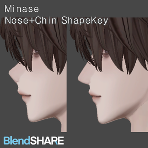 【水瀬/Minase】 Minase FacePlus Shapkey Add-on (Nose/Chin)
