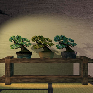 【Low-poly】Bonsai - 3 Color Variations