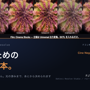 Film: Cinema Stocks 6｜DaVinci Resolve 用 映画のための乳剤DCTL（ハレーション0〜2・粒0〜0.3・11カメラ対応）