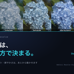 Daylight & SNS 4｜DaVinci Resolve 用 明るく軽い日常ルックDCTL（効き量0〜1可変・11カメラ対応）