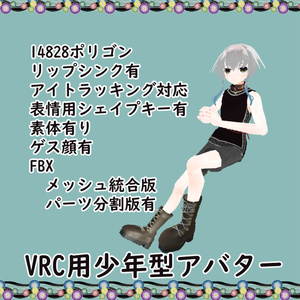 Boy-type avatar for VRC