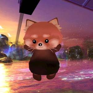 レッサーパンダ