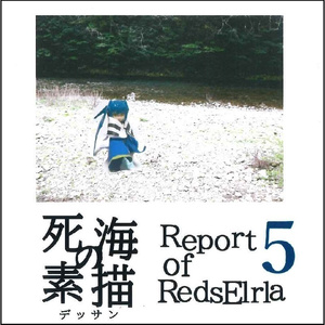 死海の素描 ～Report of RedsElrla 5