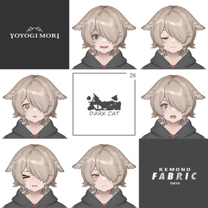 【VRC 対応3Dモデル】DARK CAT WITCH ver1.02 缩略图 6
