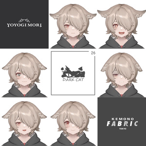 【VRC 対応3Dモデル】DARK CAT WITCH ver1.02 缩略图 4