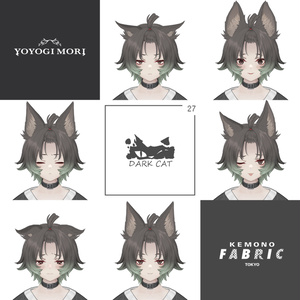 【VRC 対応3Dモデル】DARK CAT UNWELL ver1.04 缩略图 5