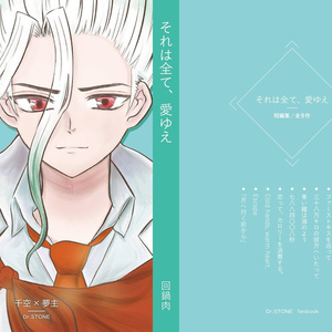 小説③ Amazon.co.jp: Z/X -Zillions of enemy X- 螺旋輪転編 轟轟