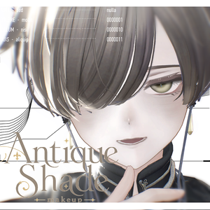【アルエ/Alué】Antique Shade makeup