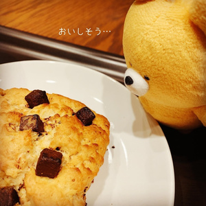 269 ☆食パン（スムース）のぬいぐるみ 611eYEZRSJL._UF350,350_QL50_.jpg