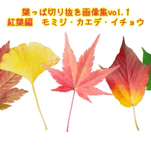 葉っぱ切り抜き画像集 vol.1　紅葉編　モミジ、カエデ、イチョウ