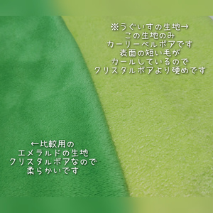 受付中【にじぱぺっと サイズ】🌈🕒 ぬい服 着ぐるみ オーダー ページ