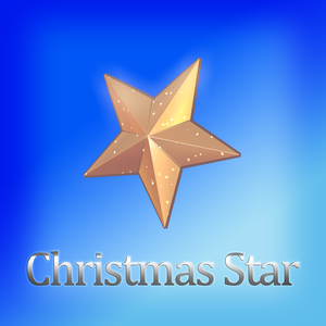 クリスマス スター