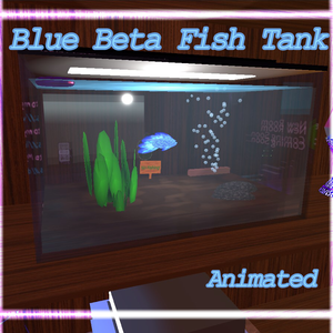 Beta Fish Tank