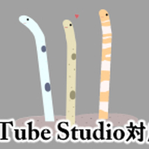  チンアナゴ