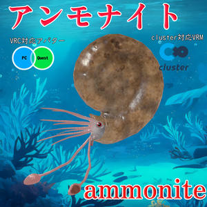 Free] [3D model] "Ammonite-kun" [VRchat compatible] [cluster compatible