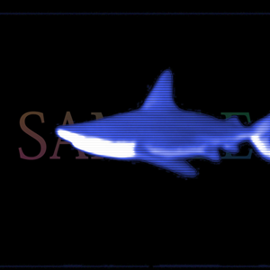 ホログラム シャーク (背景無し)