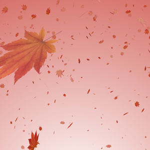 舞い散る紅葉 (4K)