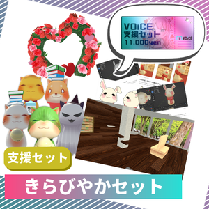 【VOiCE支援】きらびやかセット(2024年5月)