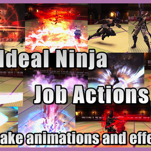 The Ideal Ninja Job Actions Mod Ver.1