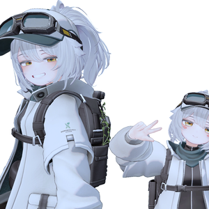 スノーハヴォックロリ化プレハブ