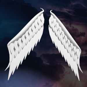 【無料】Wing001