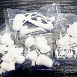 歩瀬 アズールレーン　プリンツ・アーダルベルト　閉店後の特別サービスアレンジ Amazon.co.jp: 【歩瀬】アズールレーン プリンツ