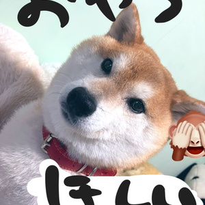 ﹄𝗡𝗲𝗺𝗲𝘀𝗶𝘀﹃ 𝗺𝗮𝗸𝗲𝘂𝗽 𝗮𝗻𝗱 𝗯𝗼𝗱𝘆 𝗺𝗮𝘁𝗲𝗿𝗶𝗮𝗹 缩略图 5