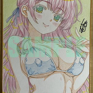 Autographed Shikishi (decorative paper board) Original Bikini Swimsuit Girl B