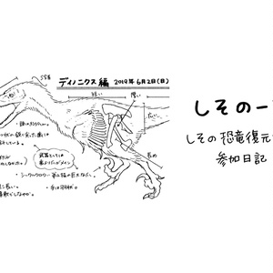 しそのーと