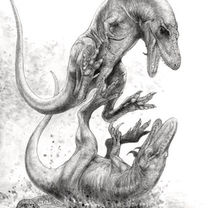 Dinosaur Illustrated 2