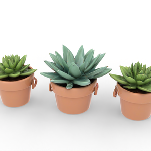 【3Dアセット】インテリアプランツ 多肉植物 4種セット Vol.1