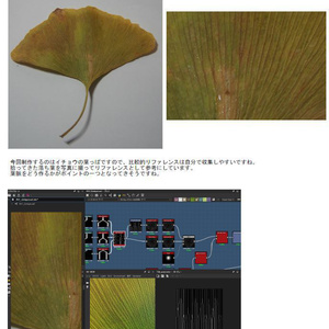 SubstanceDesignerでつくるマテリアルvol.1 【イチョウの葉】
