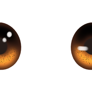 Amber Eye Texture