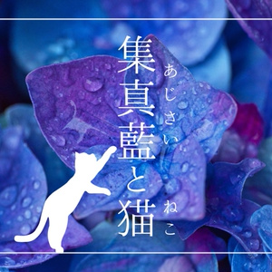 【ストーリープレイング】集真藍と猫