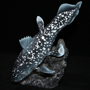 キジハタ　フィギュア　魚寸30cm キジハタ フィギュア 魚寸30cm 【第10回日本彫刻コンクール入選