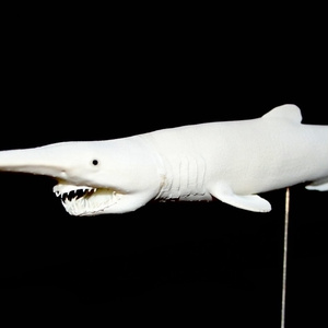 キジハタ　フィギュア　魚寸30cm キジハタ フィギュア 魚寸30cm - メルカリ