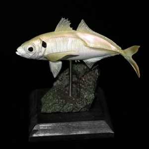 キジハタ　フィギュア　魚寸30cm キジハタ フィギュア 魚寸30cm - FFA【Fogures For Anglers】 - BOOTH