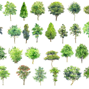 comic tree picture