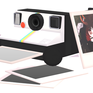 Polaroid Camera + Image