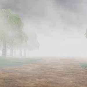 Fog Particles