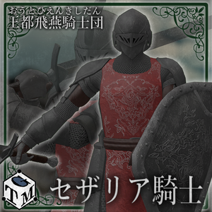 王都飛燕騎士団　セザリア騎士