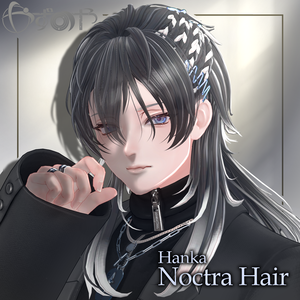 【2way】Noctra Hair【23アバター対応】