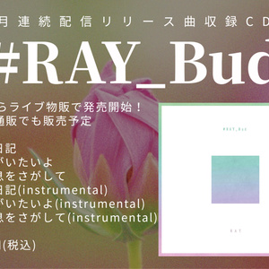 「#RAY_Bud」CD-R
