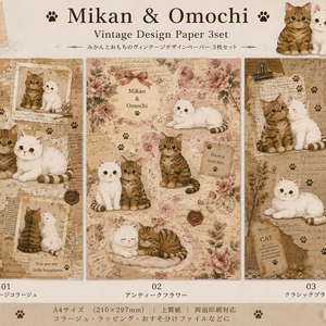 3枚セットねこ