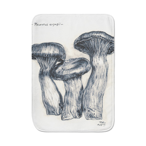 【ｽﾏﾎ壁紙画像附ｷ.】[ - Pleurotus eryngii - ] ﾌﾞﾗﾝｹｯﾄ．