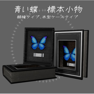 青い蝶 標本小物 VRchat用3D小物