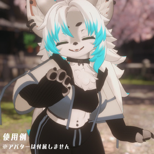 【Zil S -ジル S-専用衣装】Rough style 缩略图 8