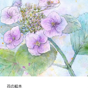 【再再々入荷！】花の絵本 ～　近所の人が花をくれた