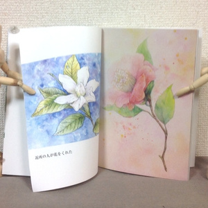 【再再々入荷！】花の絵本 ～　近所の人が花をくれた