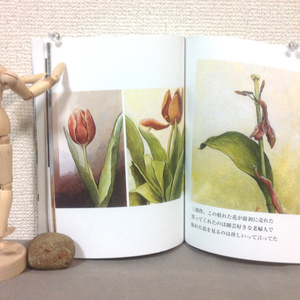 【再再々入荷！】花の絵本 ～　近所の人が花をくれた